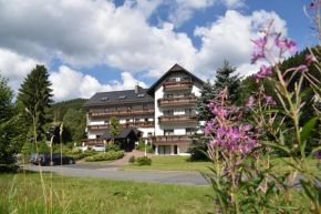 Отель Hotel Thüringer Wald, Ильменау